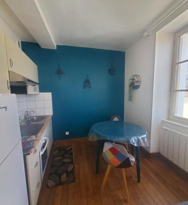 Bourgueil Apartment | Idéal pied à terre pour visite des châteaux et cnpe
