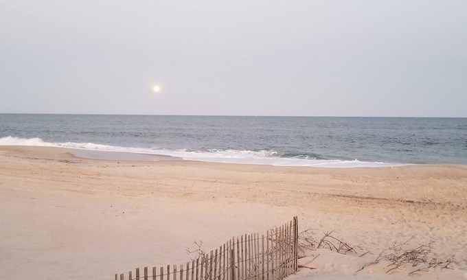 Davis Park Cottage | Idyllic Cozy Cottage in Davis Park, Fire Island - Weekly Rentals Now Available!