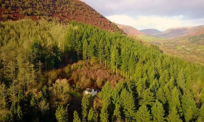 Longtown Cottage | Idyllic Romantic Forest Retreat