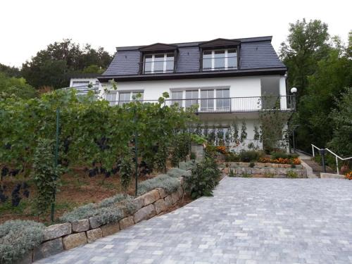 Bad Kissingen Apartment | Idyllisches Wohnen Weinberg