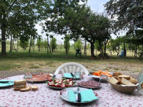 San Damiano House | Il Canale dei Mulini