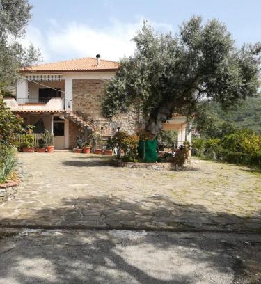 Montecorice Bed & Breakfast | IL CONTE DI MARRAONE