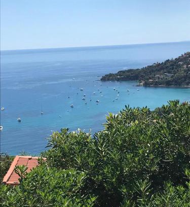 Latte House | Il mare tra gli olivi