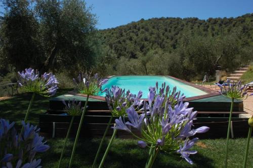 Castiglione della Pescaia Bed & Breakfast | Il Pino