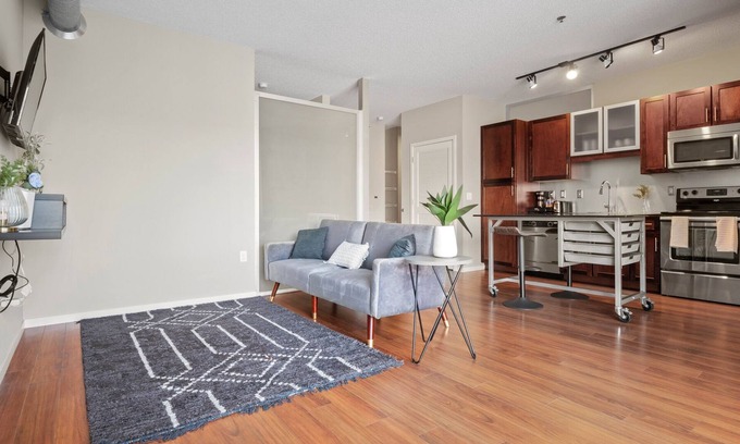 Downtown Minneapolis Condo | Immerse Yourself in This Sophisticated Condo 445