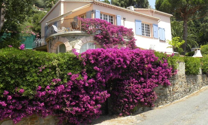 Le Rayol Villa | In the quietness, facing the sea, with a large shaded garden