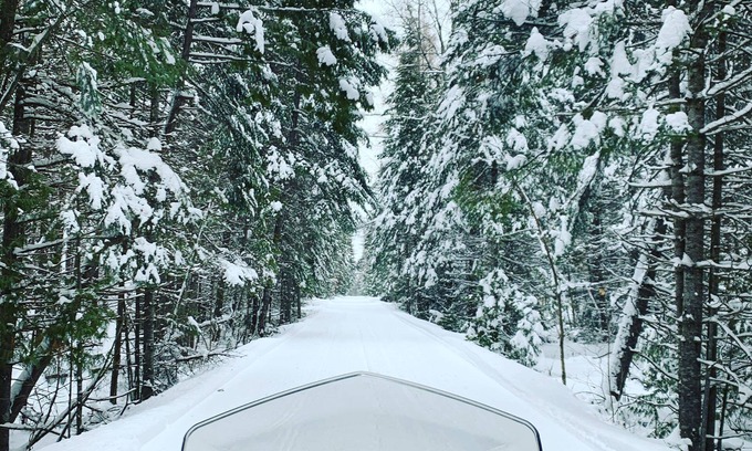 Trent Lakes Cottage | Incredible Cottage on Crystal Lake. Very private on 7 acres
