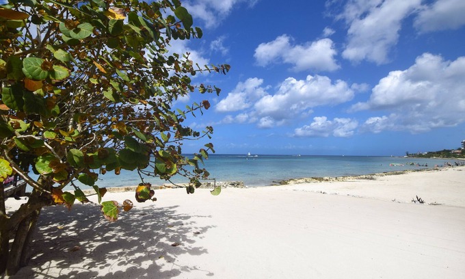 Cozumel Villa | Incredible family friendly Beachfront Villa; Pool, Staff, amazing snorkeling
