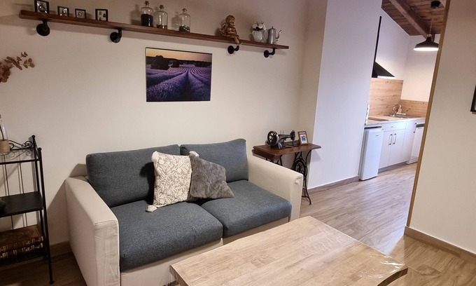Alcolea del Pinar Apartment | Industrial Apartment