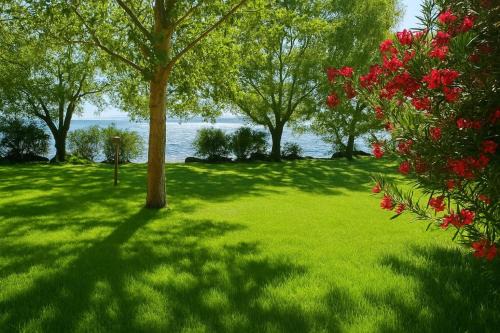 Lake Bracciano Other | International Glamping Lago Di Bracciano