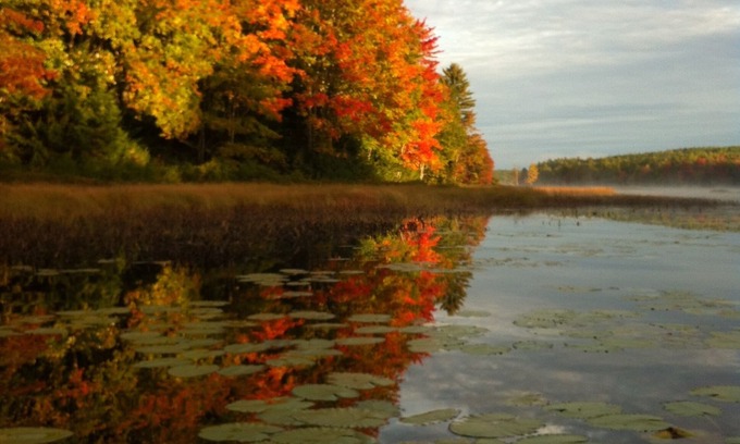 Mariaville Cottage | Intimate cottage near Acadia national park