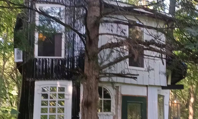Knoxville House | Irving's Gnome Dome Mushroom Sculpture Tiny House