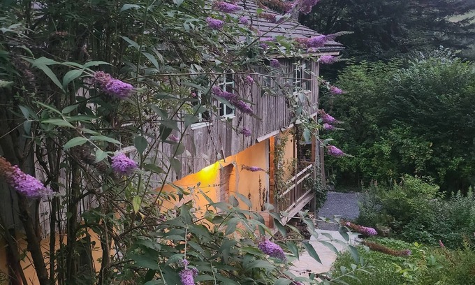 Thones Ski Chalet | Isolated chalet in the heart of nature, forest, river.