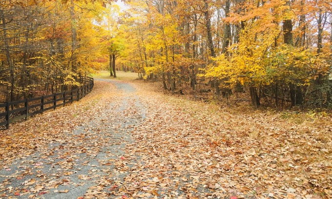 Nellysford Condo | It’s fall yal’ll!