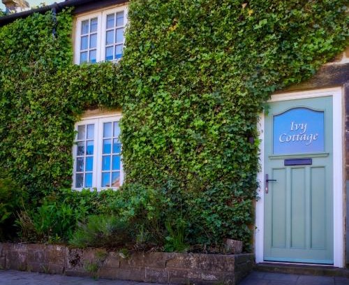 Middlesbrough House | Ivy Cottage