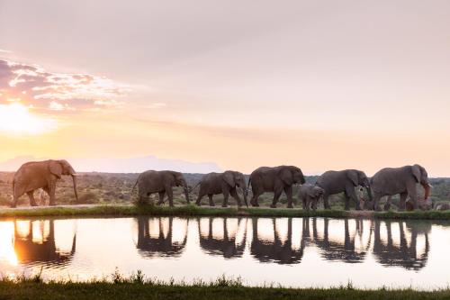 Thorny Bush Game Reserve Cabin | Jabulani Safari