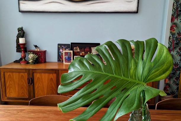 Fulham Gardens House | Jamaica Mid-Century