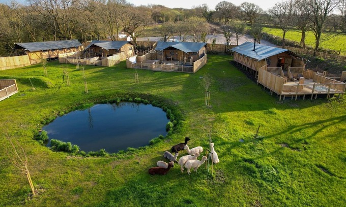 Tenby RV Rental | Jungle Book Safari Tent