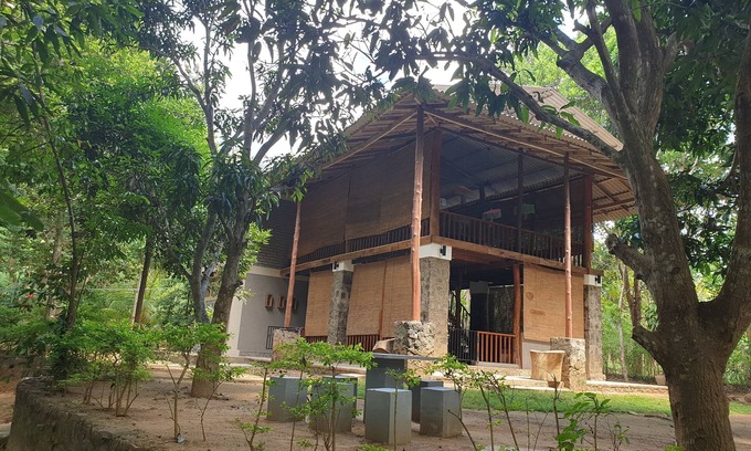 Udawalawa Cabin | Jungle House Udawalawe Holiday Lodge