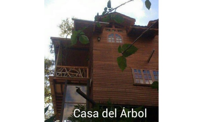 Roble House | Jungle Tree House 20 min airport SJ