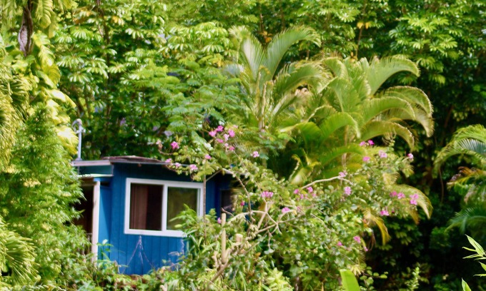 Wainiha House | Kai Honu Home