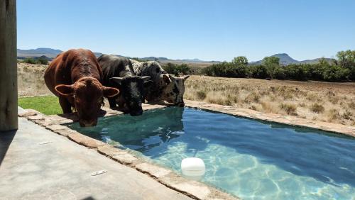 Inxuba Yethemba House | Karoo Ridge Eco-Lodges