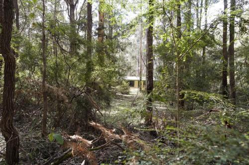 Yeagarup House | Karriwood Cottage