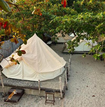 Lobo Other | KAWAI Beach Camp