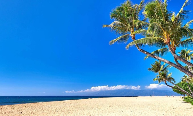 Honokowai Condo | KBM Resorts | 2 FREE CARS | Honua Kai Luana | Ground Floor 6-Bedroom Suites | Private Outdoor Kitchens! HKL-12A/B