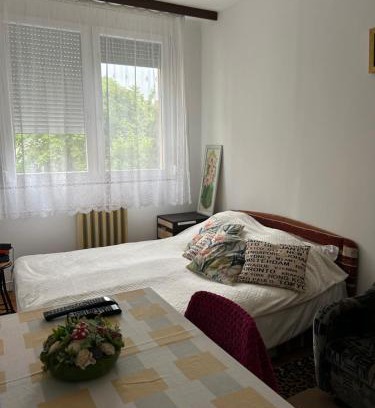 Szeged Apartment | Kedves Kuckó a belvárosban