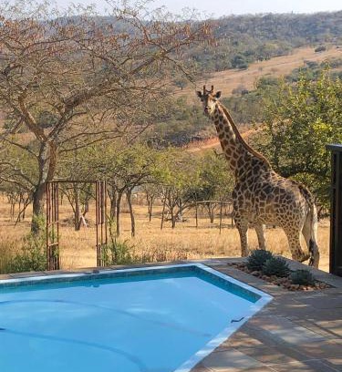 White River Cabin | Khululeka Safaris Lodge