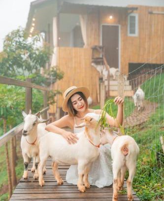 Mae Rim Cabin | Kirin Farm