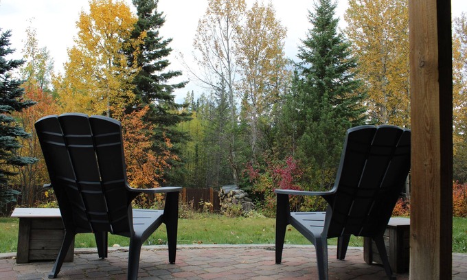 Hinton Apartment | Kitchenette Suite with King & Queen beds, Quiet Forest views from patio with BBQ