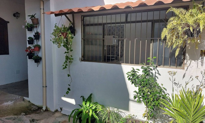 Visconde do Rio Branco Apartment | Kitnets no Bairro Rio Branco