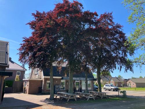 Municipality of Barneveld House | Klassiek veluws huis onder de beuken