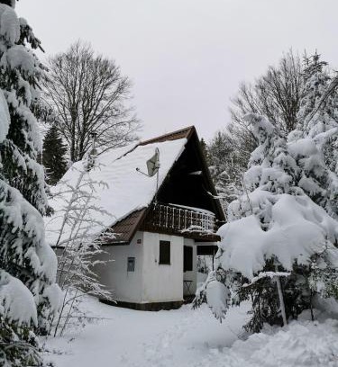 Ilirska Bistrica House | Koča Kresnica