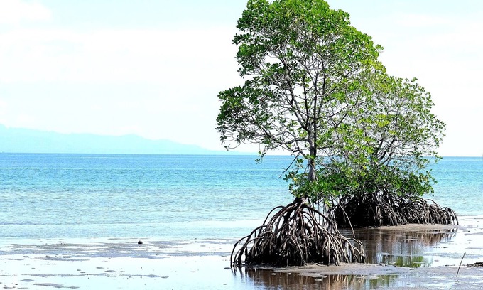 Ko Lanta Resort | Koh Lanta Amantra Lake View Resort