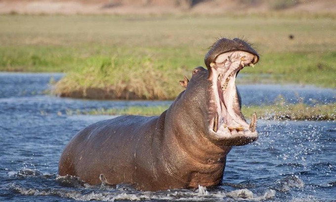KuShengesa Resort | Kosi Bay Hippo Lodge & Resort