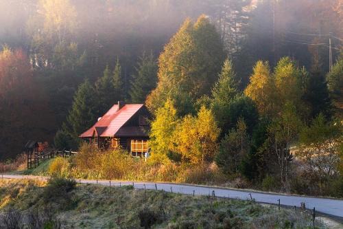 Regietow House | Krzywa 19