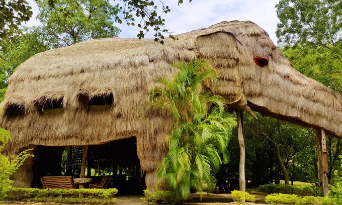 Buttala Villa | Kumbuk River Elephant Villa