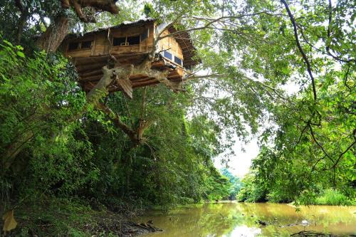 Debarawewa Villa | Kumbuk Tree House