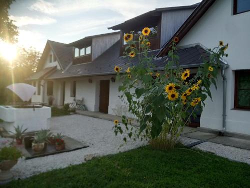 Hegyhatsal Villa | Kutny Residence -Chateau Schaal
