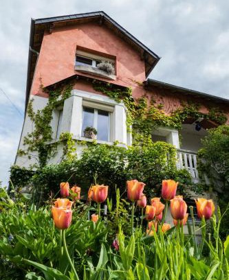 Saint-Satur Bed & Breakfast | l'abri du viaduc