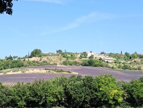 Puimichel Bed & Breakfast | La Bergerie en Provence