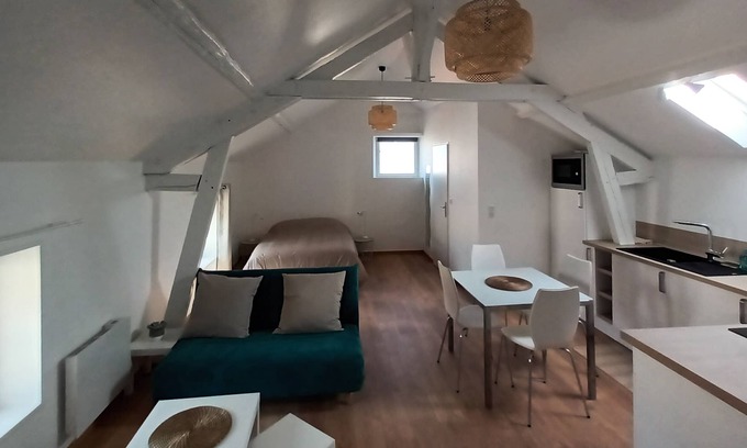 Epernay Apartment | "La Bulle" Completely renovated apartment on the banks of the Marne