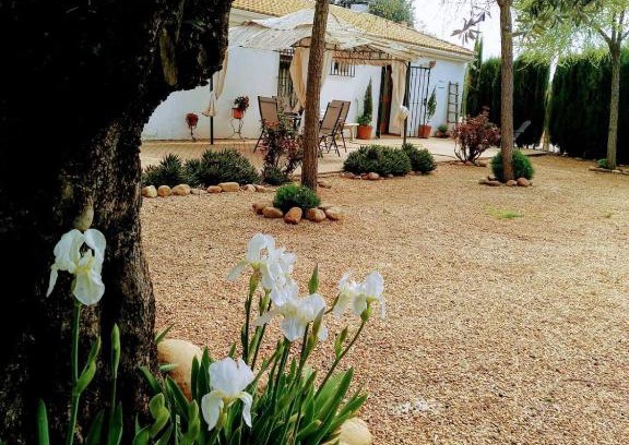Marmolejo House | La Casa del Abuelo Jose