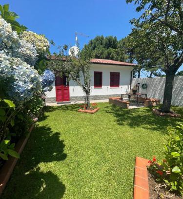 Scilla House | La Casa delle Ortensie Guest House