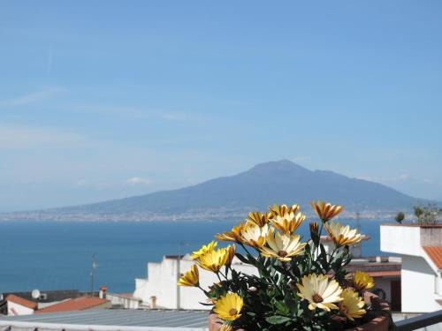 Seiano Bed & Breakfast | La Casa nel Cortile
