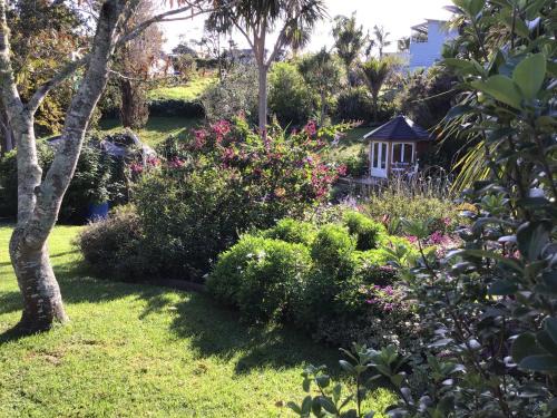 Oneroa Apartment | La Casita Waiheke