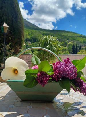 Pont du Loup House | La cigale